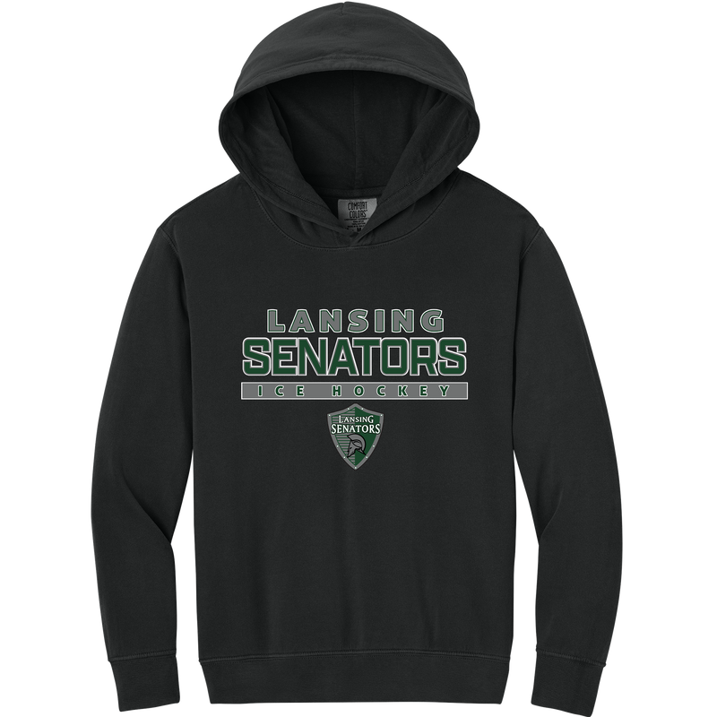 Lansing Senators Youth Lightweight Hooded Sweatshirt