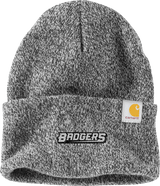 Allegheny Badgers Carhartt Watch Cap 2.0