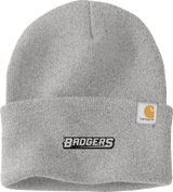 Allegheny Badgers Carhartt Watch Cap 2.0