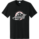 Allegheny Badgers Easy Cotton Tee