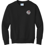 CT Whalers Tier 2 Youth Core Fleece Crewneck Sweatshirt